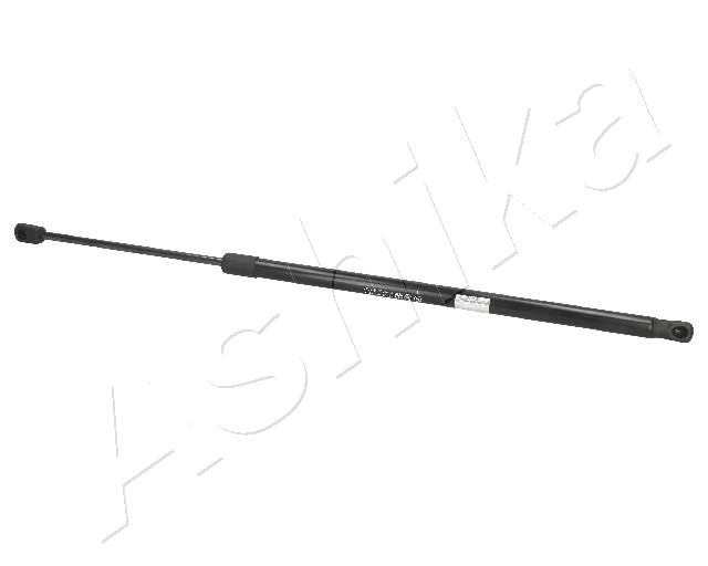ZSA01073