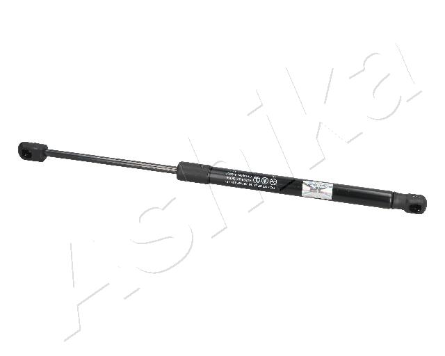 ZSA09068