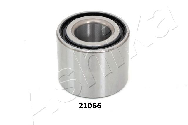 44-21066