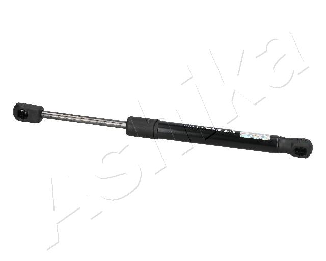 ZSA09047