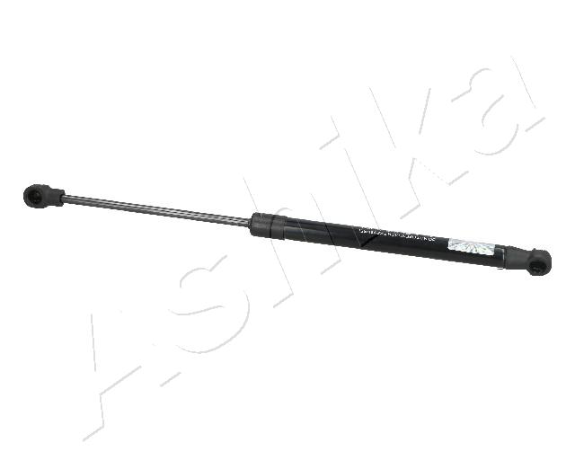 ZSA09081