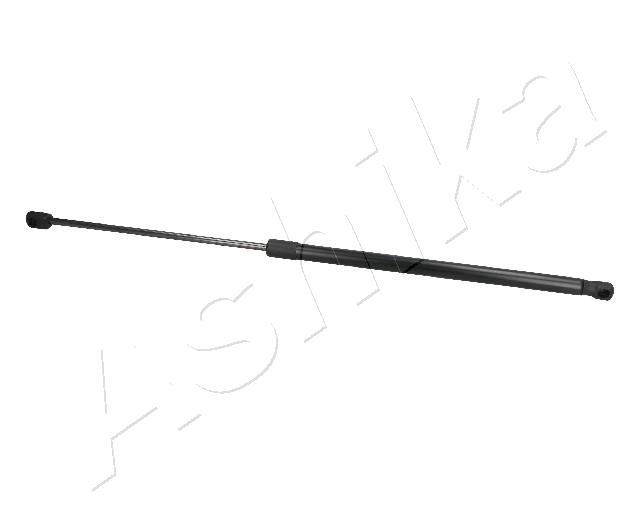 ZSA09021