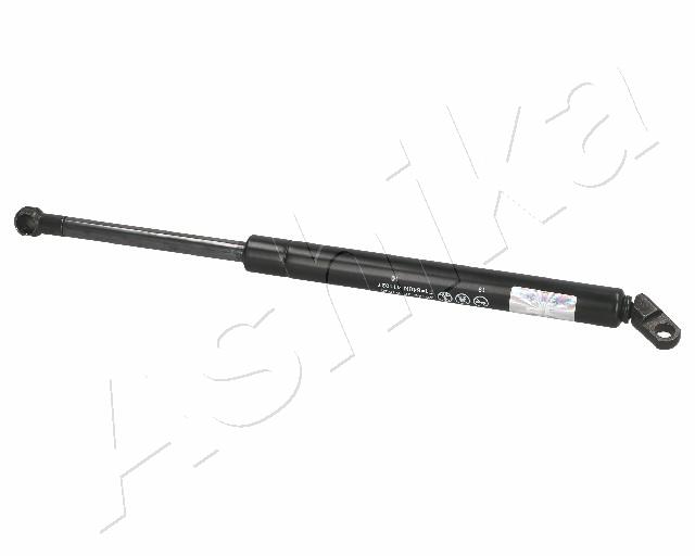 ZSA01023