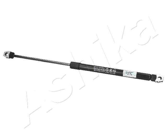ZSA01012