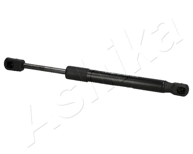 ZSA01063