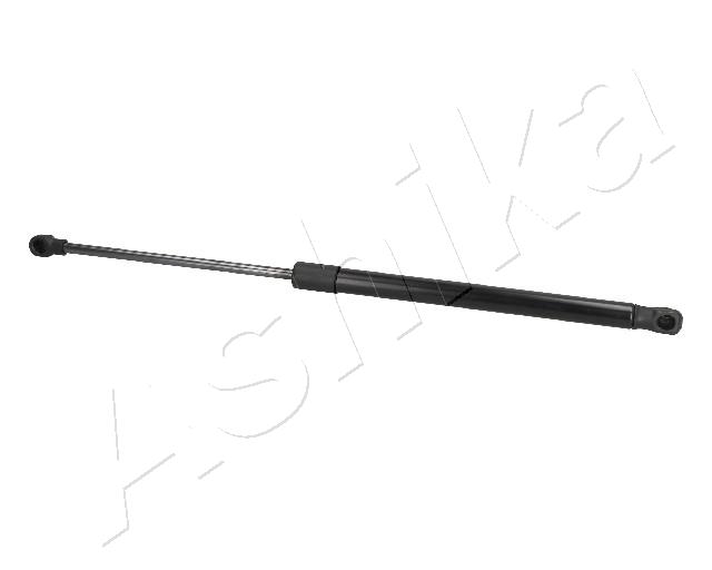 ZSA09190