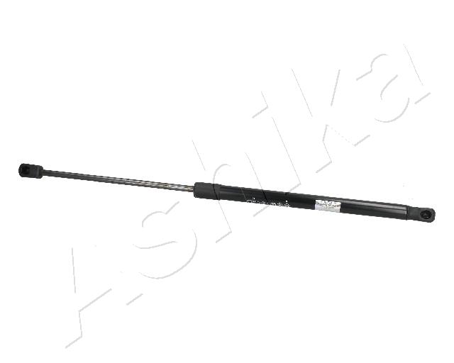 ZSA09077