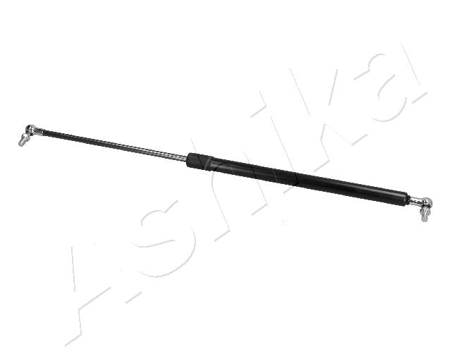 ZSA10046