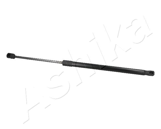 ZSA09059