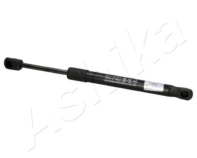 ZSA01095