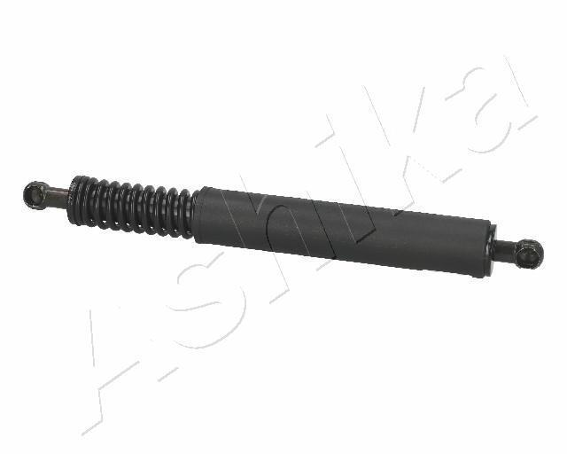 ZSA09191