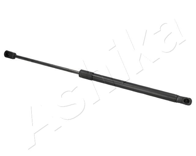 ZSA07018
