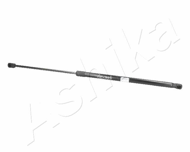 ZSA01009