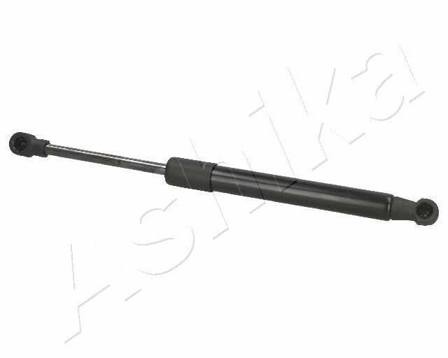ZSA01025