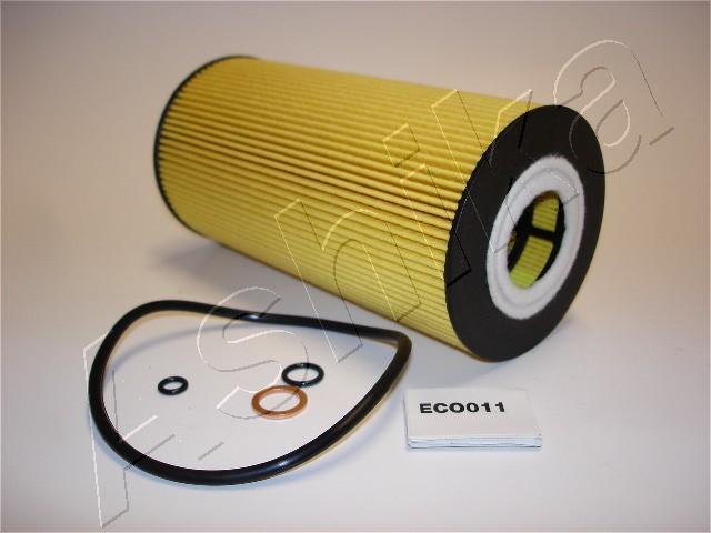 10-ECO011
