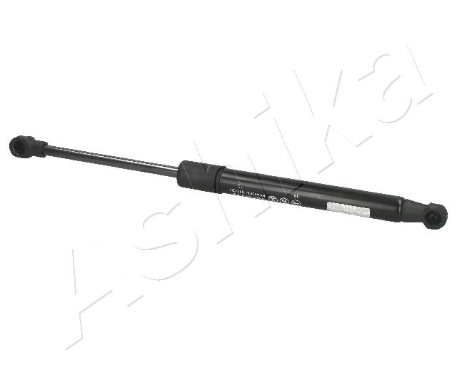 ZSA01030