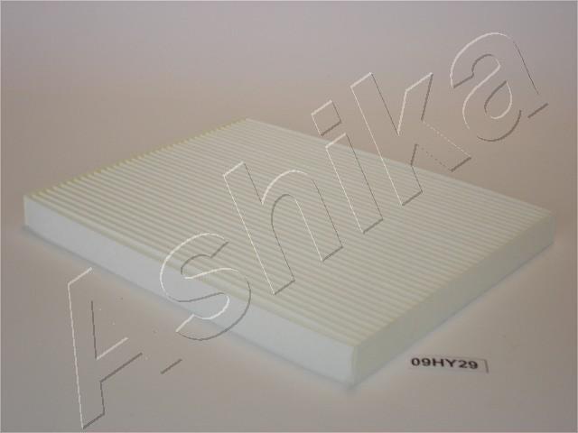 21-HY-H29
