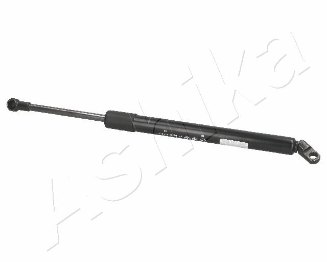 ZSA01007
