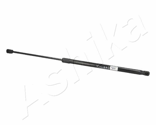 ZSA02011