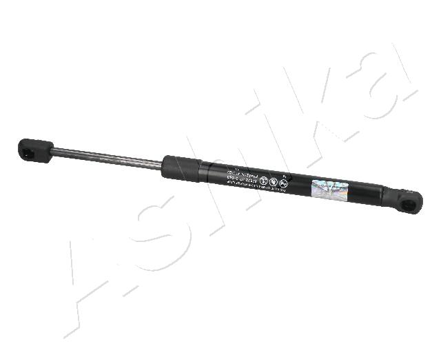 ZSA09043