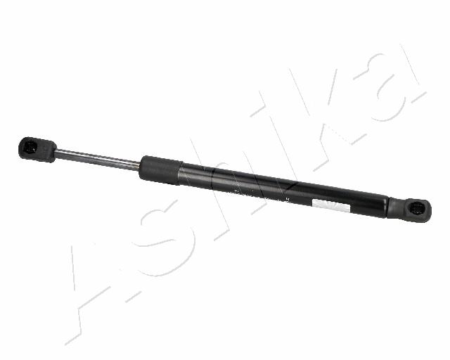 ZSA06016
