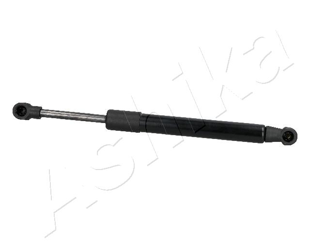 ZSA05041