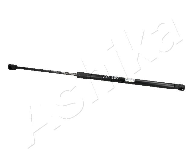 ZSA04055