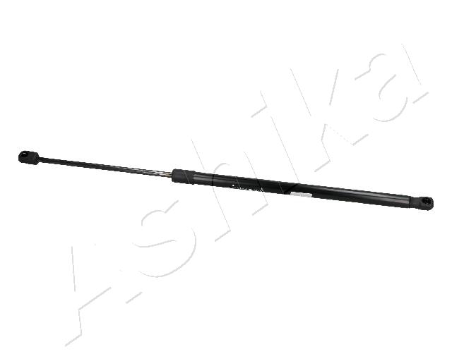 ZSA40021
