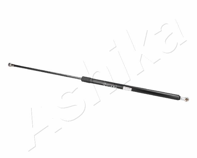 ZSA02022