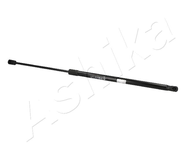 ZSA09184