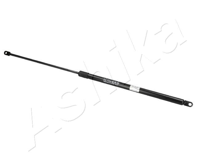 ZSA09015