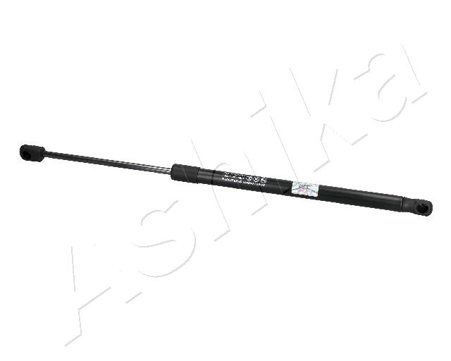 ZSA10037