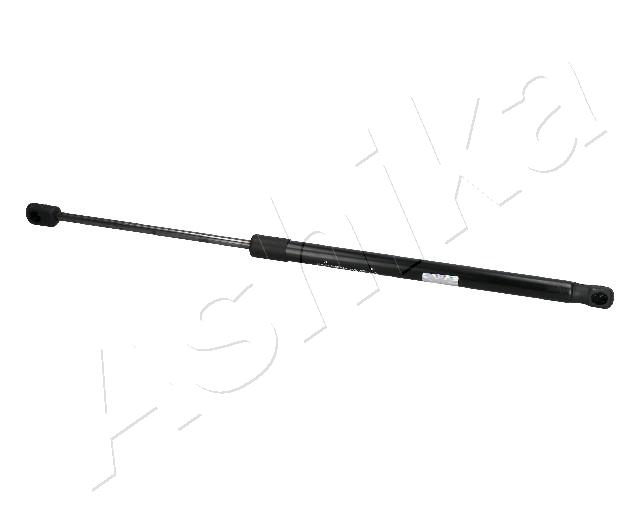 ZSA10012