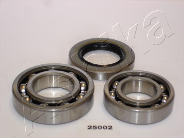 44-25002