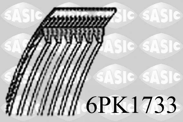 6PK1733