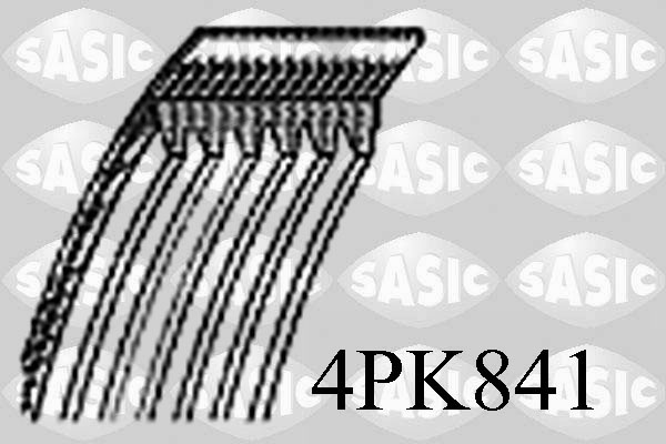 4PK841