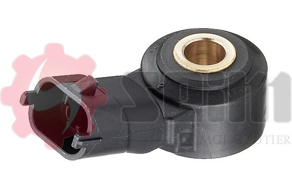 CC58