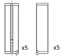 BM1000-STD
