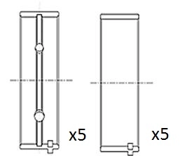 BM1001-STD
