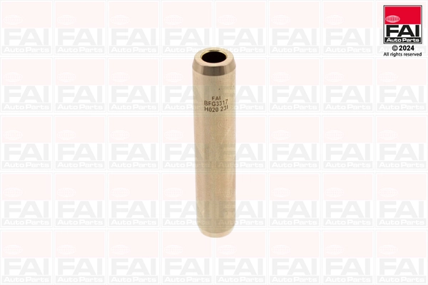BFG3317