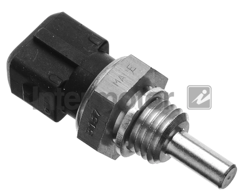 53019
