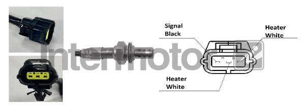 64523