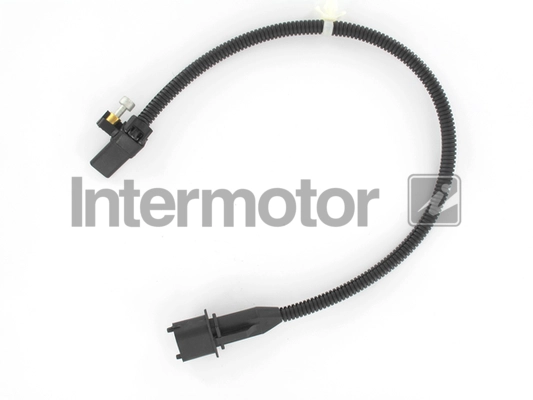 19296