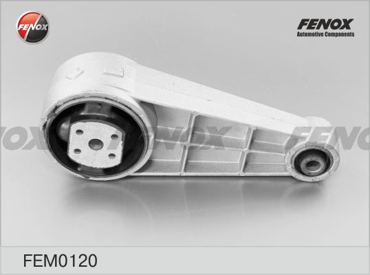 FEM0120