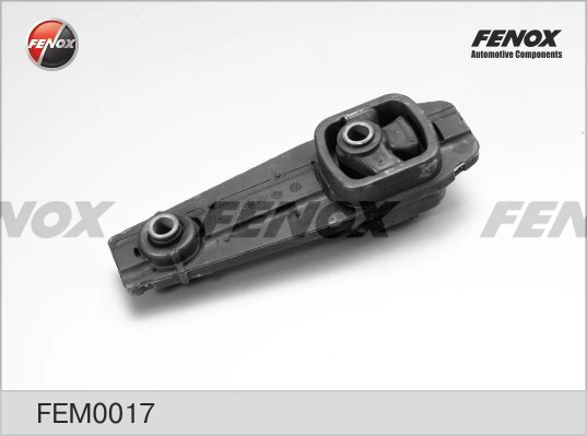 FEM0017