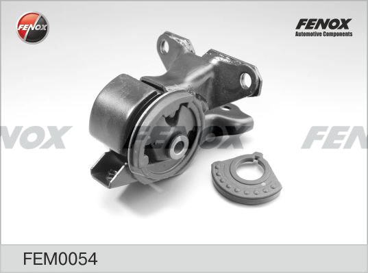 FEM0054