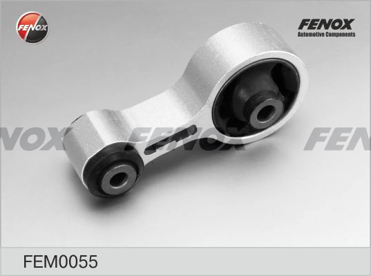 FEM0055