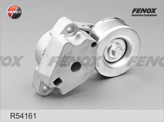 R54161