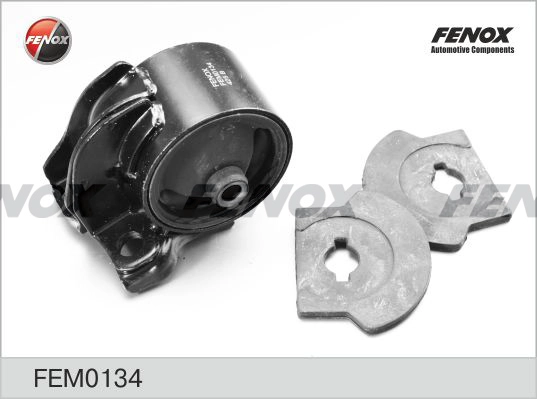 FEM0134