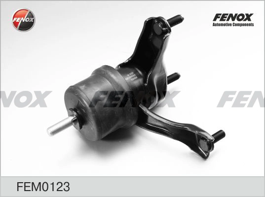 FEM0123
